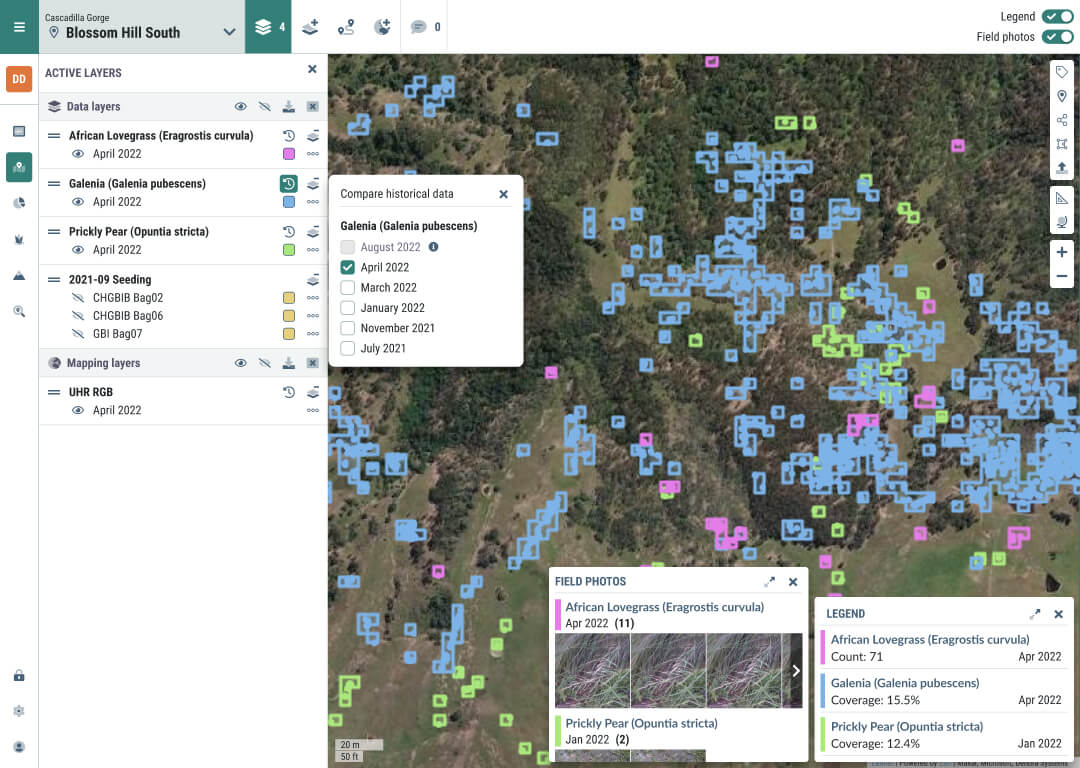 GIS active layers